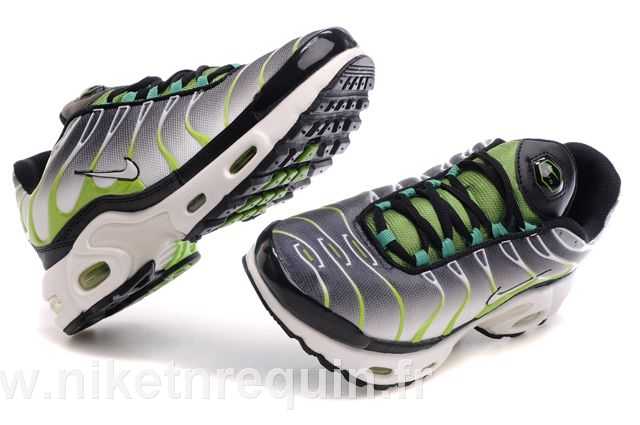 nike tn 2010 grise (2).JPG